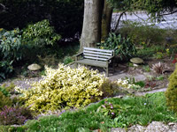 Garden at the side of Bed and Breakfast